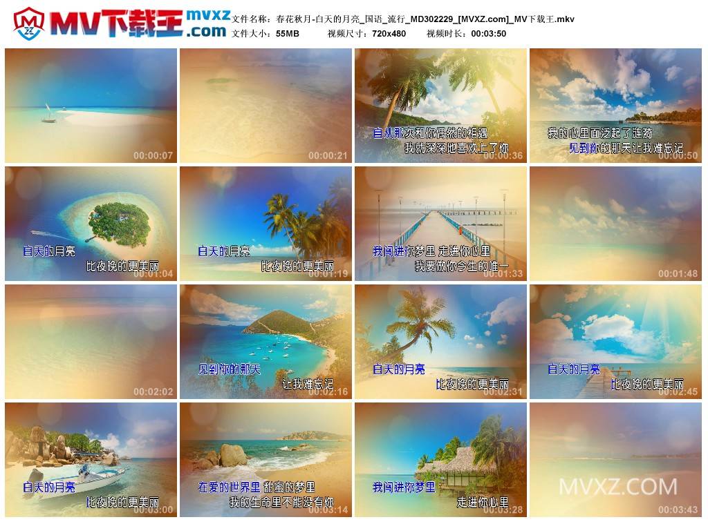 春花秋月-白天的月亮_国语_流行_MD302229